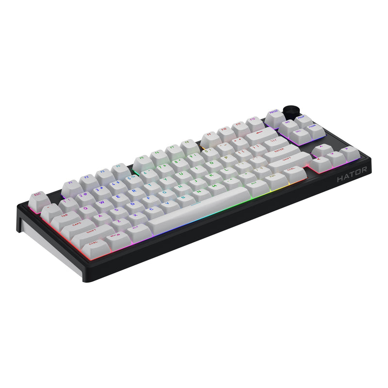 Chargez l'image dans la visionneuse de la galerie, Hator skyfall wireless rgb mechanisch gaming toetsenbord (zwart, us lay-out (qwerty), hator aurum lemon, 80% (tkl), rgb, double shot abs, hot-swap, 2.4ghz | bluetooth | usb-c)
