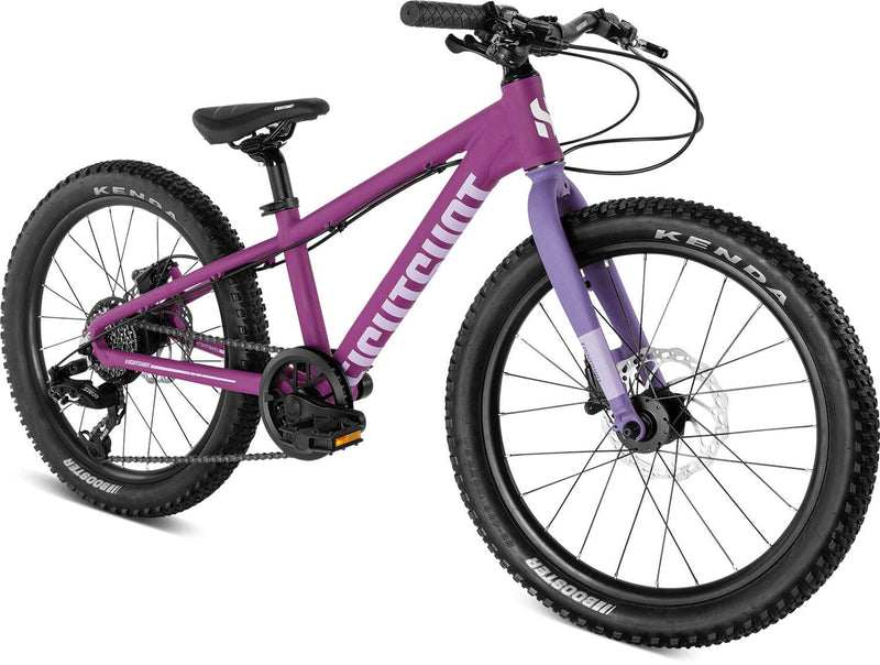 Afbeelding laden in galerijviewer, Eightshot coady 20 sl disc
