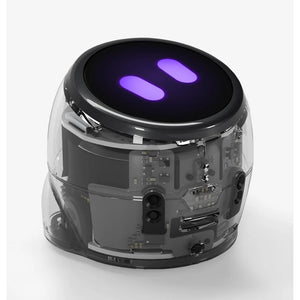 Ozobot ari entry kit robot