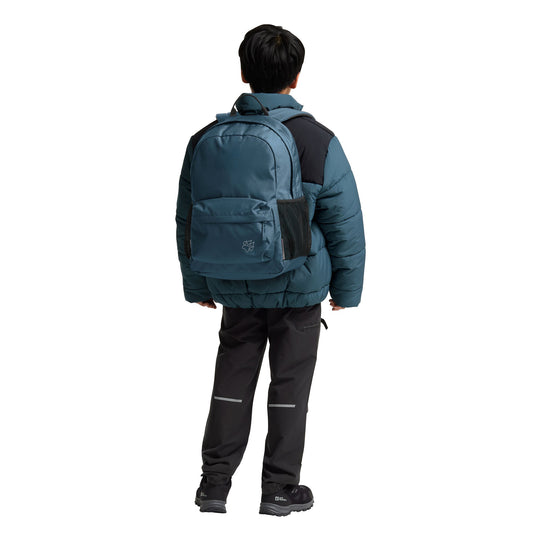 Jack wolfskin rebel pack 25 rugzak (blauw)