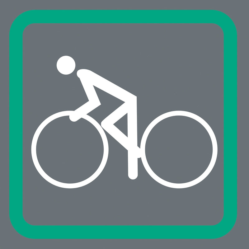 Load image into Gallery viewer, Wera bicycle set 2 bitset (zwart groen)

