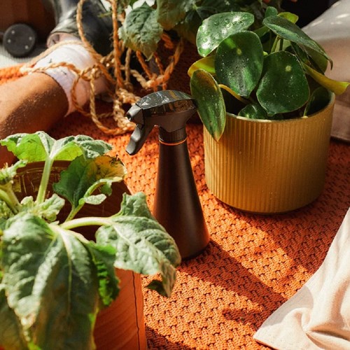 Cargue la imagen en el visor de la galería, Fiskars plantenspuit - 1071306
