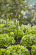 Gardena mds verlengbuis - 13326-20 13326-20