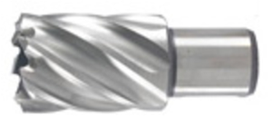 Hikoki accessoires kernboor 13x30 mm - 754402