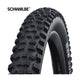 Vouwband Schwalbe Hans Dampf Performance 29 x 2.35 60-622 mm - zwart