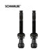 Schwalbe ventiel scv