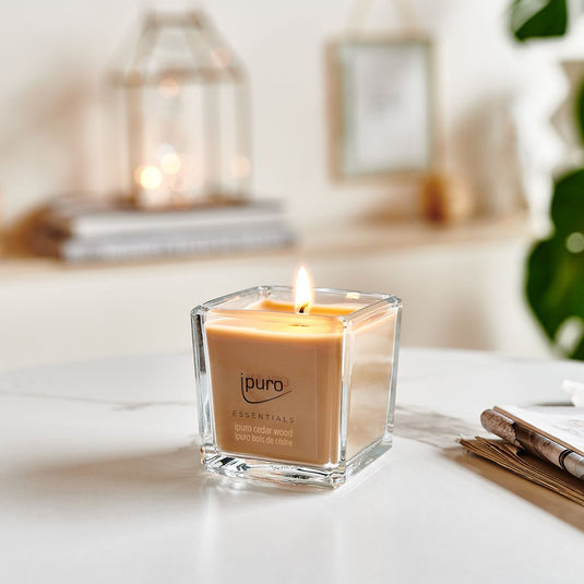 Ipuro geurkaars cedar wood 125gr.