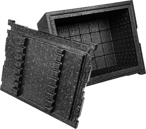 L-boxx thermo-inzet lb 374 - 1000010161