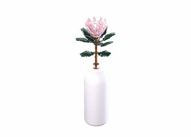 Sluban flowers reuzeprotea cynaroides 219-delig