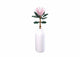 Sluban reuzeprotea 219-delig