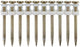 Makita accessoires betonnagel gas blk lengte 20mm diameter 2,6mm - 196290-2