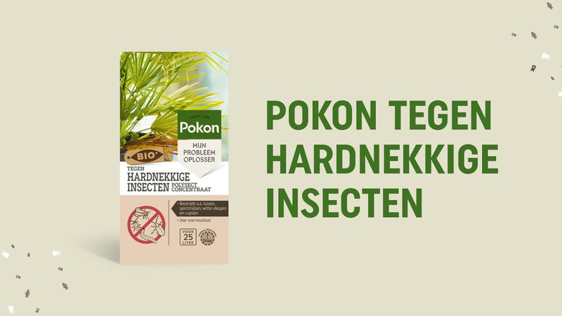 Load image into Gallery viewer, Pokon bio tegen hardnekkige insecten concentraat 175ml poly

