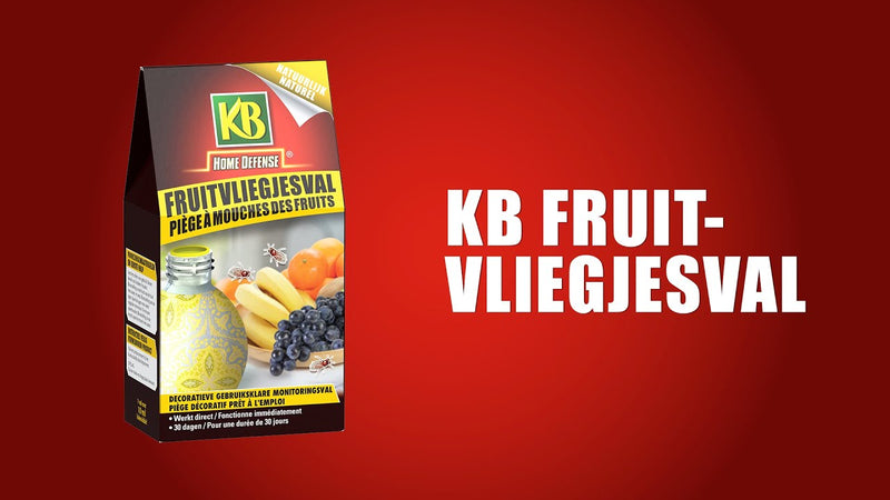 Load image into Gallery viewer, Kb bestrijding kb fruitvliegjesval 1st
