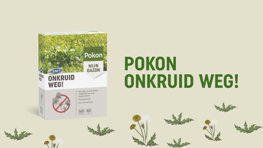 Pokon onkruid weg! 1,6kg voor 80m² - 7601772101