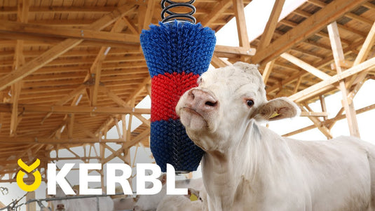 Producten happycow veeborstel flexiswing