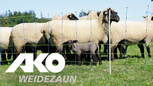 Ako vervangende paal voor schapennet titan dubbele pen 90cm