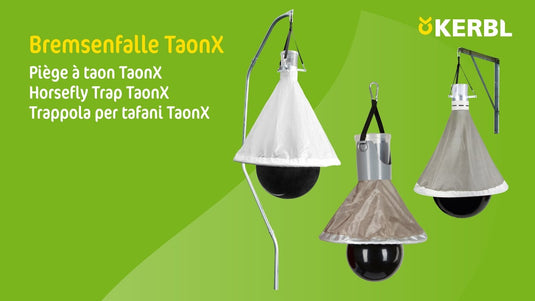 Dazenval taonx eco