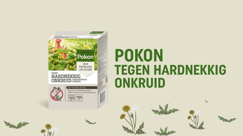 Load image into Gallery viewer, Pokon tegen hardnekkig onkruid concentraat 100ml weedex
