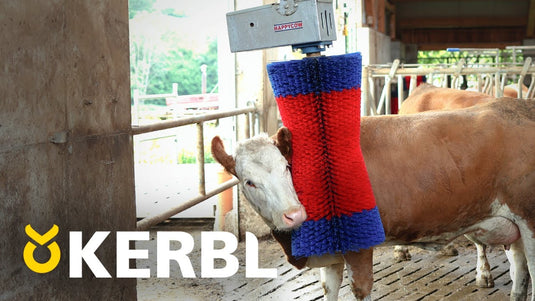 Happycow koeborstel maxiswing