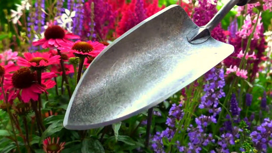 De wit producten plantenschepje x treme essenhandvat 14cm dewit
