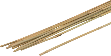 Meister plantenstok bamboe 75cm (10st) - wu9966390