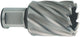 Metabo accessoires hss kernboor ø 21x30 mm - 626509000