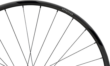 Newmen advanced sl x.r.25 cl fade r 29 rear wheel