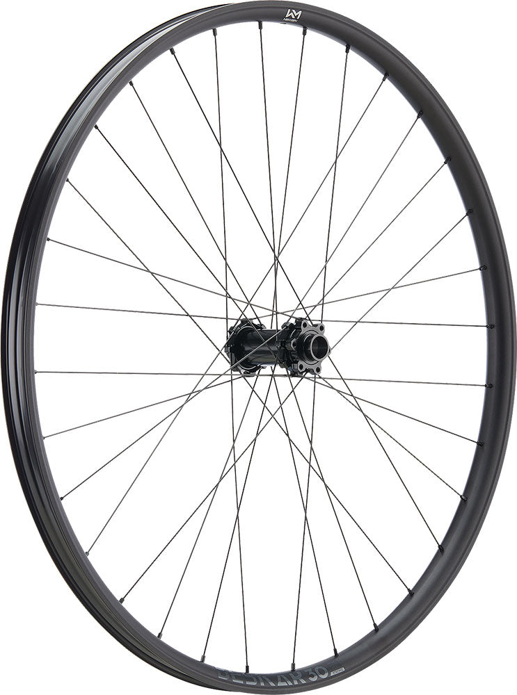 Load image into Gallery viewer, Newmen beskar 30 strong 29 6-bolt 15 20x110 fade front wheel
