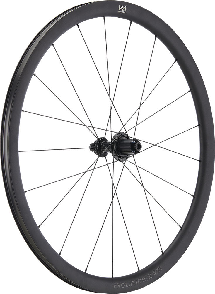 Load image into Gallery viewer, Newmen evolution sl r.35 fade r sj cl 12x142 rear wheel
