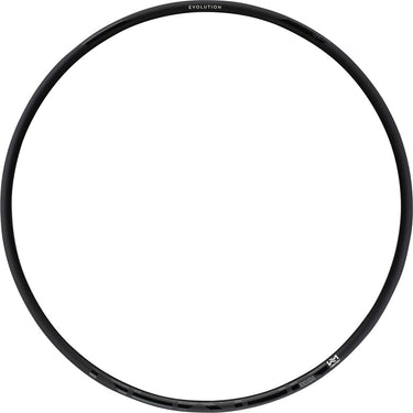 Newmen evolution sl x.r.25 29 rim