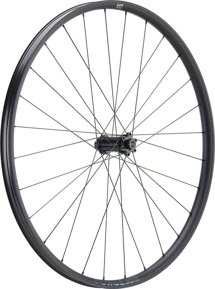 Load image into Gallery viewer, Newmen forge 30 base trail 29 6-bolt 15x110 fade front wheel
