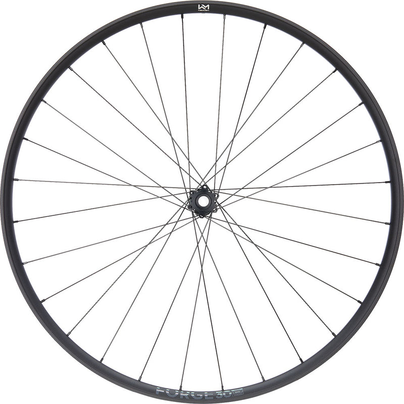 Load image into Gallery viewer, Newmen forge 30 light xc 29 6-bolt 15x110 fade front wheel
