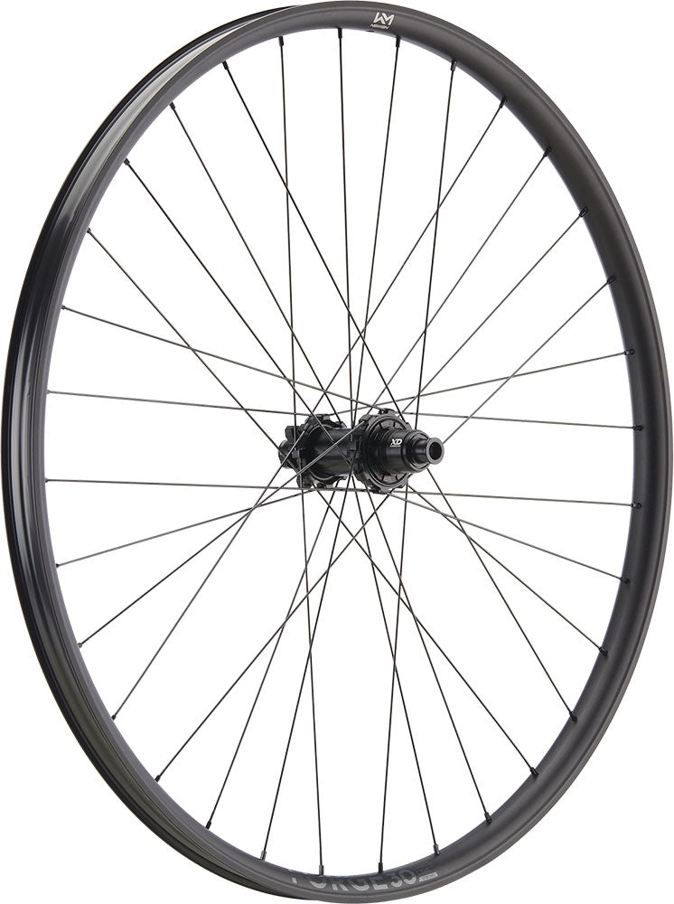 Load image into Gallery viewer, Newmen forge 30 strong enduro 29 6-bolt 12x148 fade rear wheel
