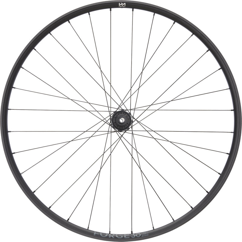 Load image into Gallery viewer, Newmen forge 30 strong enduro 29 6-bolt 12x157 fade rear wheel
