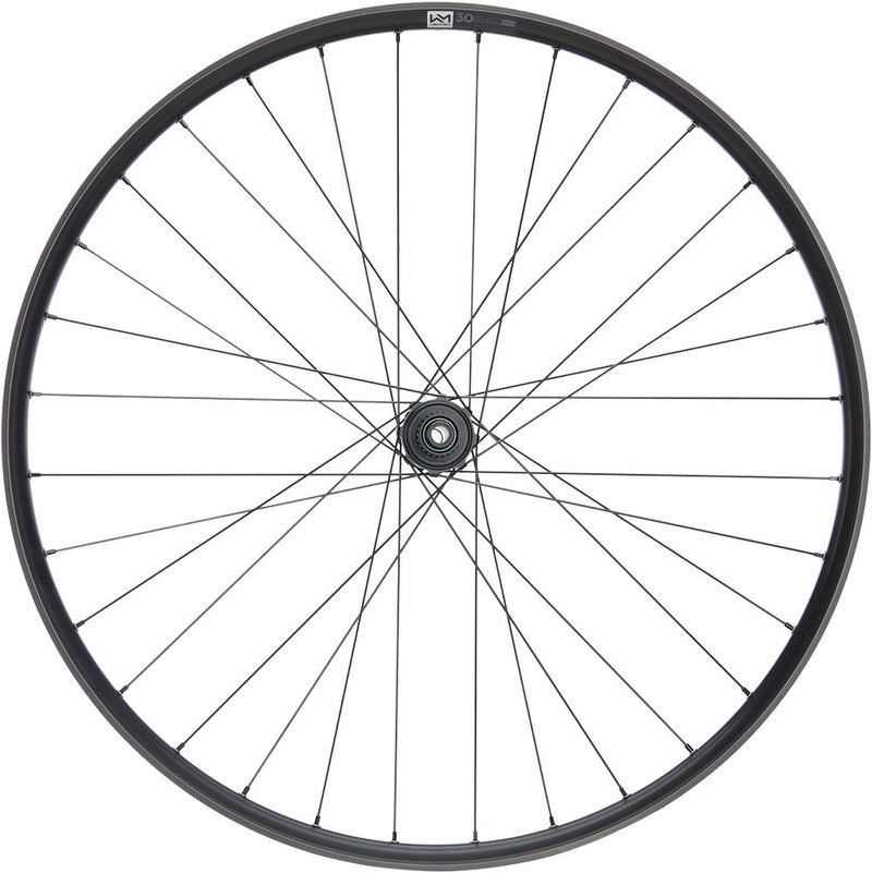 Load image into Gallery viewer, Newmen performance 30 strong 29 6-bolt 12x157 fade rear wheel
