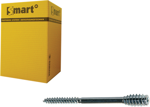 Pgb-europe smart | afstandschroef t-drive t25 ø 6x300 zn | 25 st sm0ssc0010603003