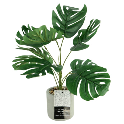 Load image into Gallery viewer, Kunstplant in cementen pot 40 cm 3 assorti | 12 stuks
