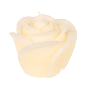 Out of the blue kaars roos crème 11 cm | 12 stuks