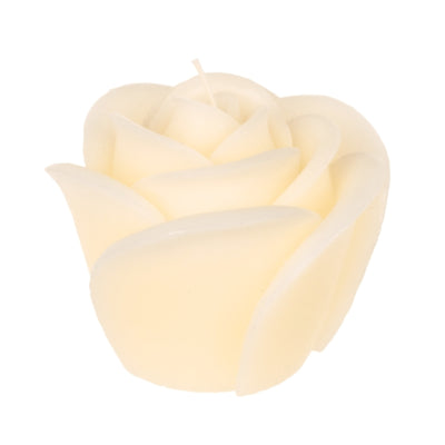 Out of the blue kaars roos crème 11 cm | 12 stuks