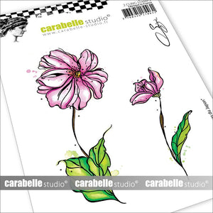 Carabelle studio • cling stamp a6 japanese anemones by soizic