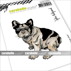Carabelle studio • cling stamp a7 i've got a dog