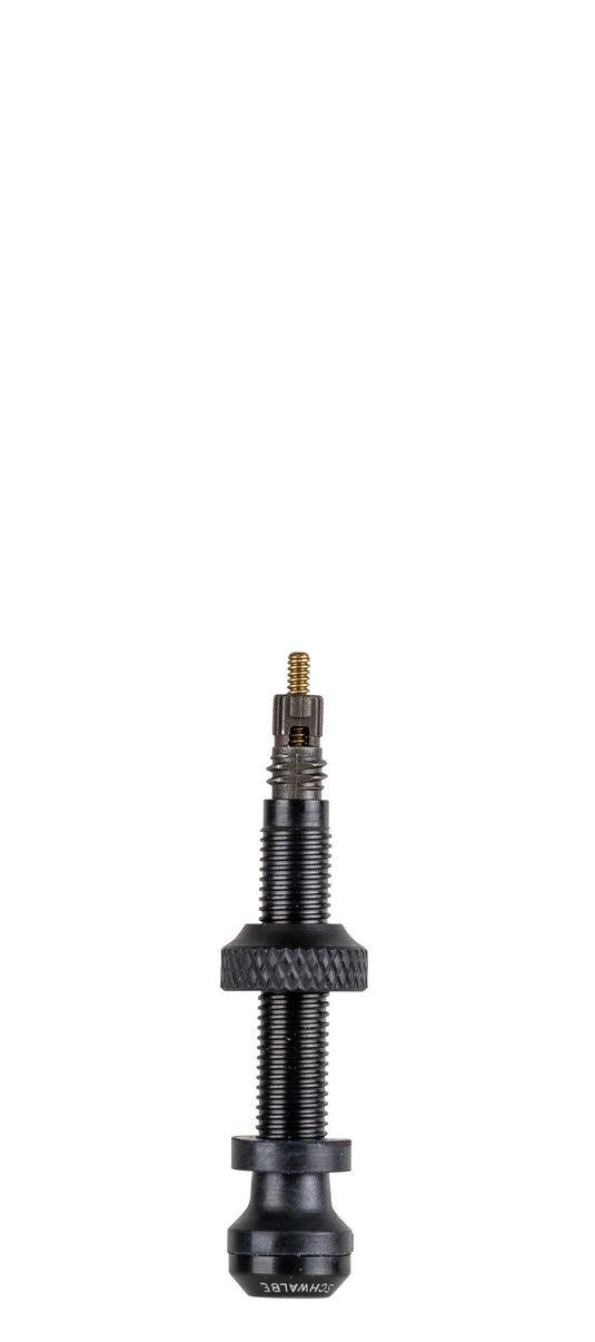 Tubeless ventiel Schwalbe 40mm (2 stuks)
