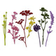 Sizzix • thinlits snijmal windbloemen set x7