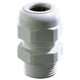 Wiska sprintwartel pg11