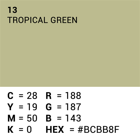 Load image into Gallery viewer, Superior achtergrondpapier 13 tropical green 1,35 x 11m
