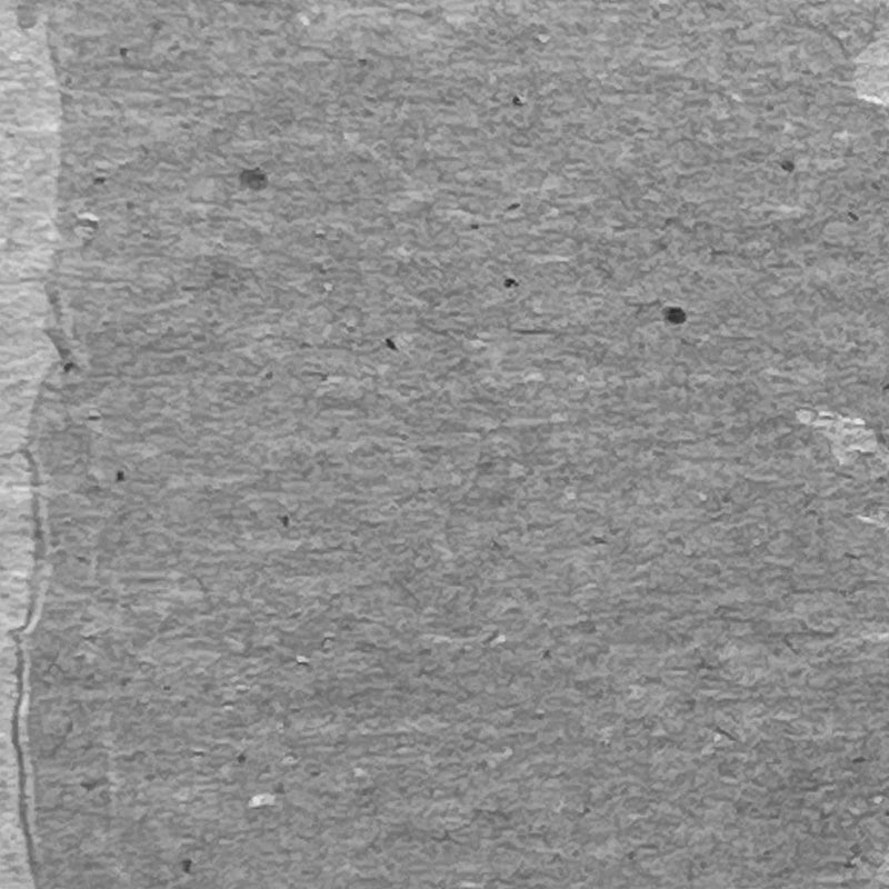 Load image into Gallery viewer, Ranger ink ranger • tim holtz distress texture paste translucent
