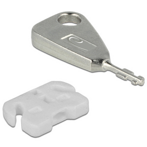 Delock usb port blocker voor usb-a female insteekslot (wit zilver)