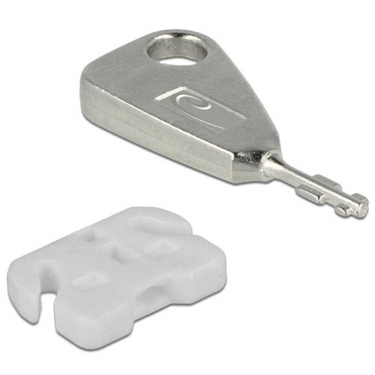 Delock usb port blocker voor usb-a female insteekslot (wit zilver)
