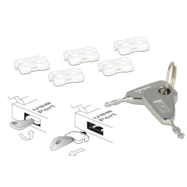 Delock usb port blocker voor usb-a female insteekslot (wit zilver)
