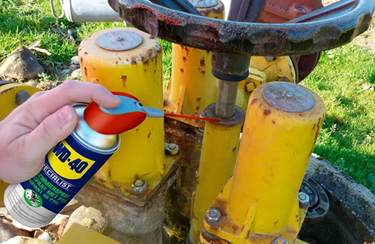 WD40 Specialist® Smeerspray met PTFE 250 ml